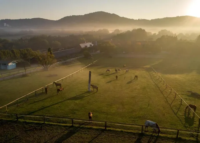 Farma Michael Na Tvrzi Nedvezi Resort *